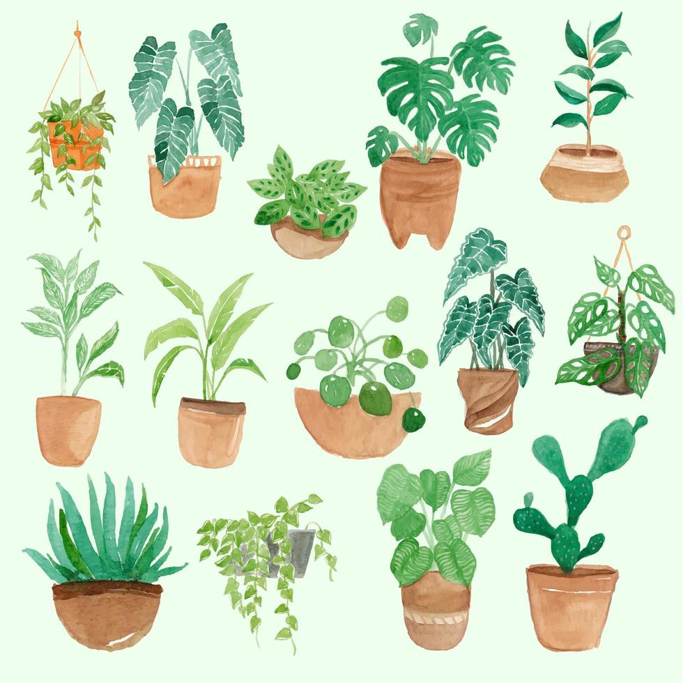 Plant in pot watercolor background vector