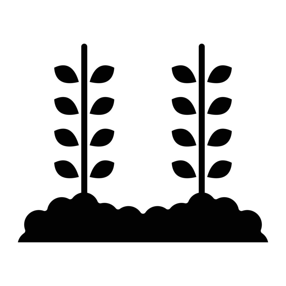 icono de glifo de plantación de trigo vector