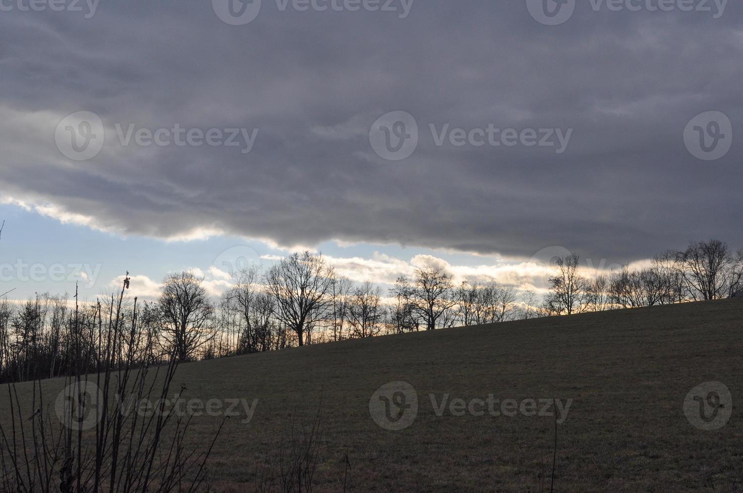 La Mandria park in Venaria photo