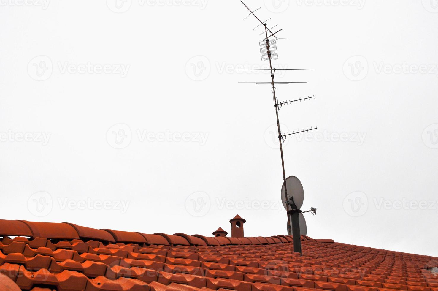 red roof tiles photo