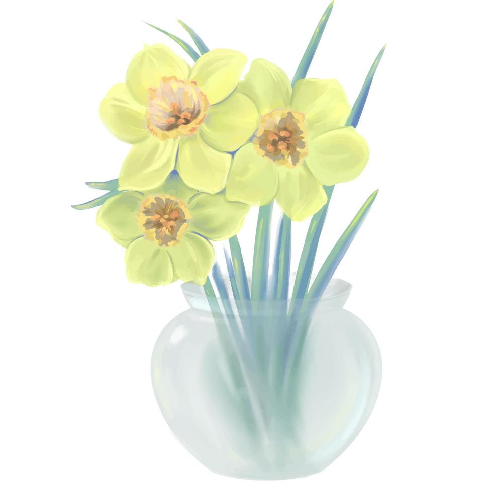 yellow daffodils flowers in a glass vase illustration, isolated vector