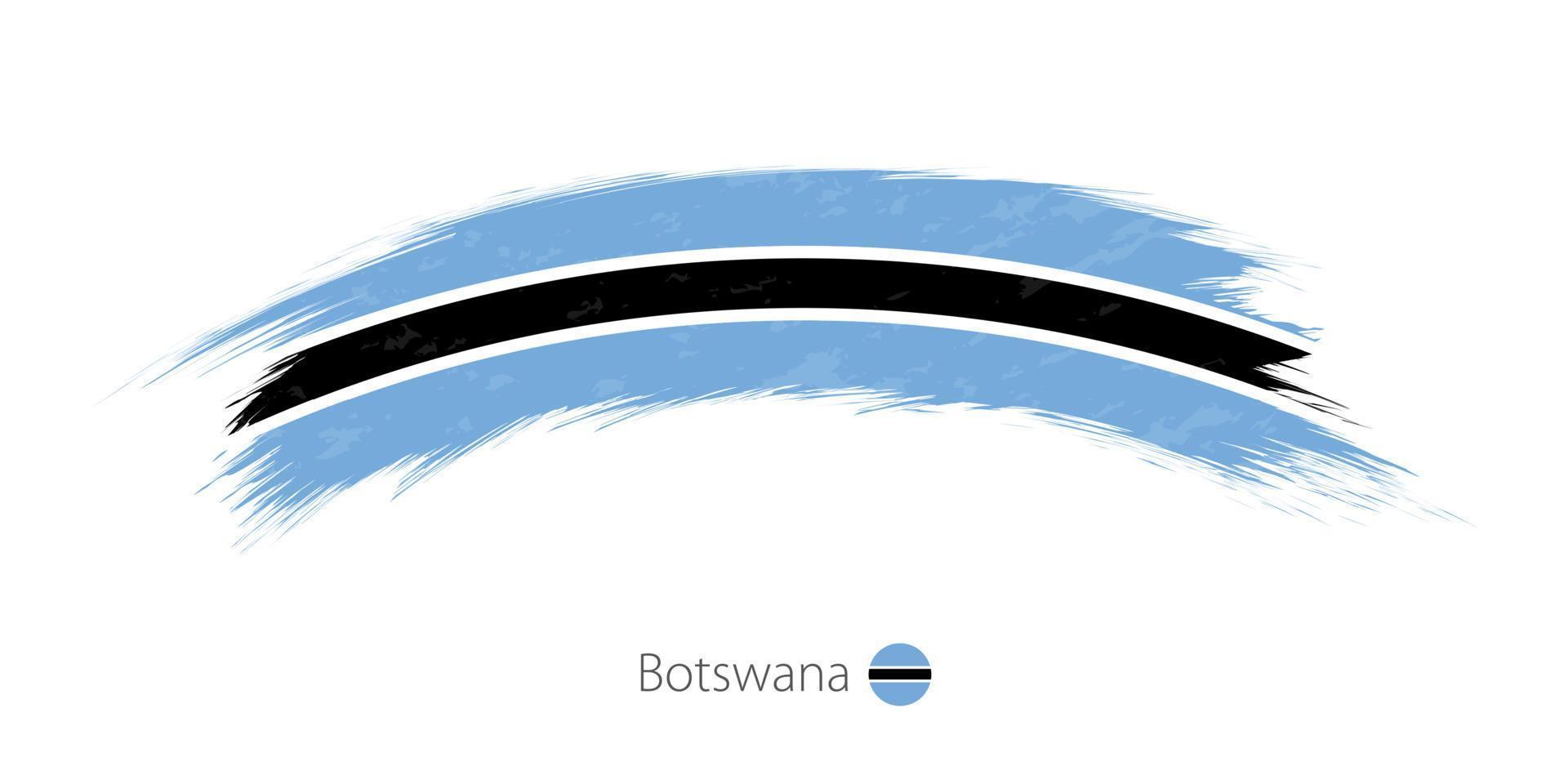 Flag of Botswana in rounded grunge brush stroke. vector