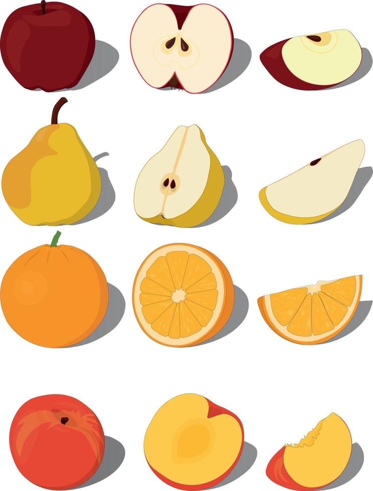 Whole ripe sweet fruits with pieces and slices vector illustration