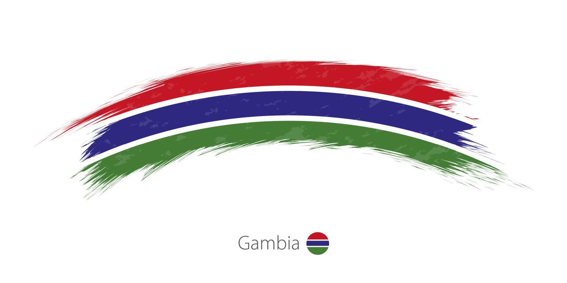 bandera de gambia en un trazo de pincel redondeado. vector