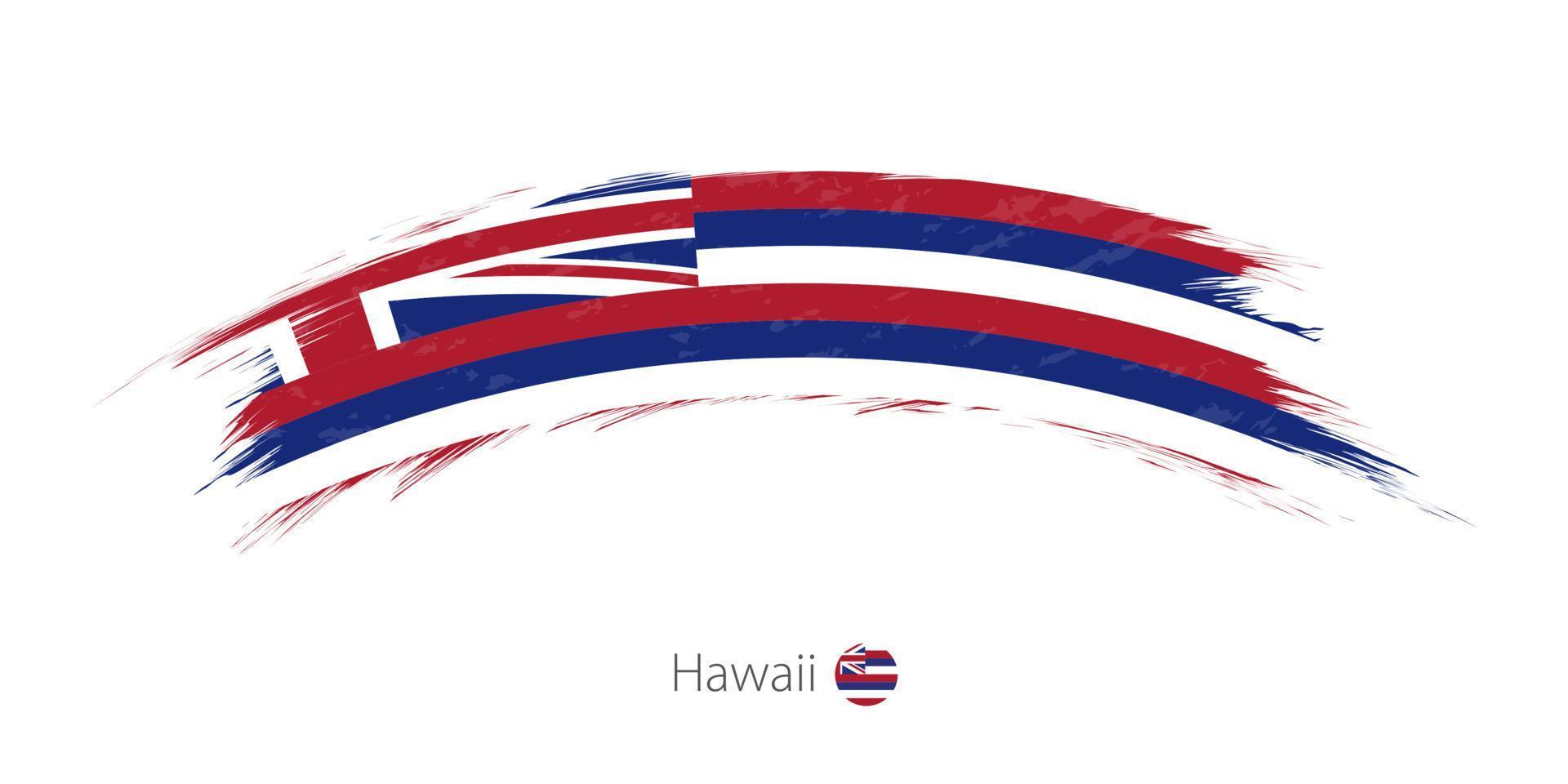 Flag of Hawaii in rounded grunge brush stroke. vector