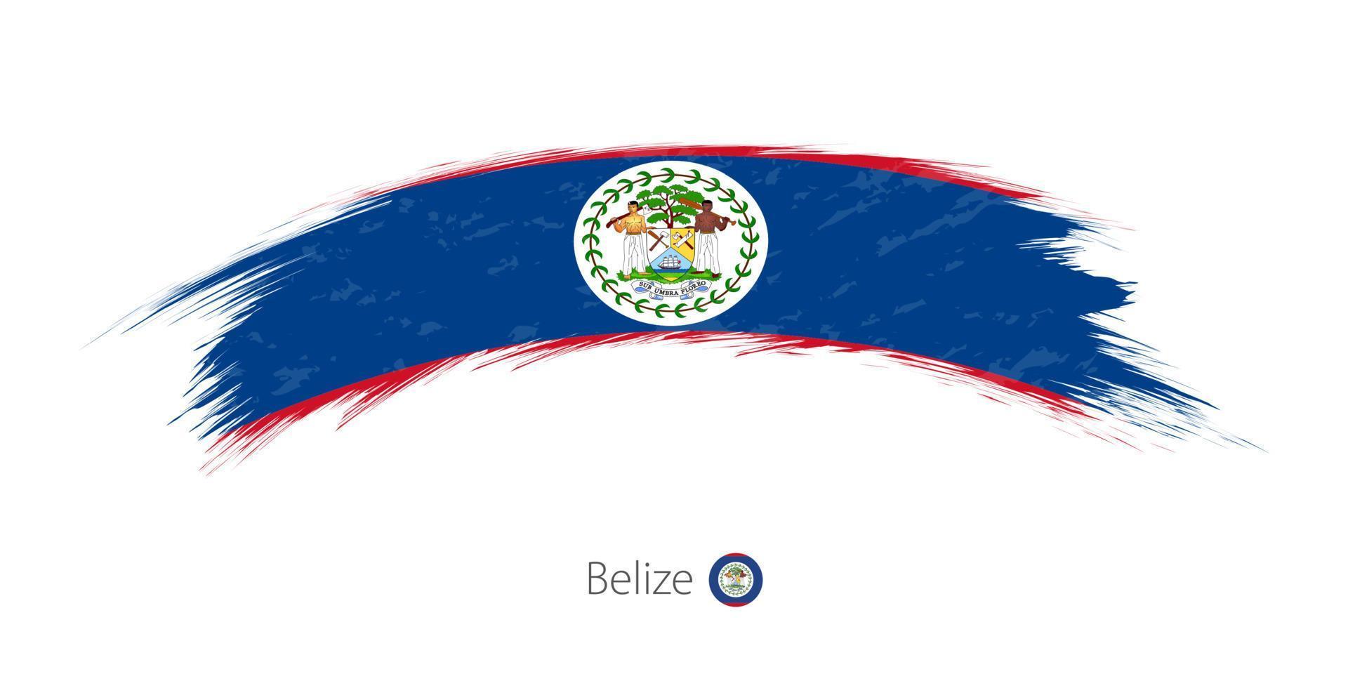 Flag of Belize in rounded grunge brush stroke. vector