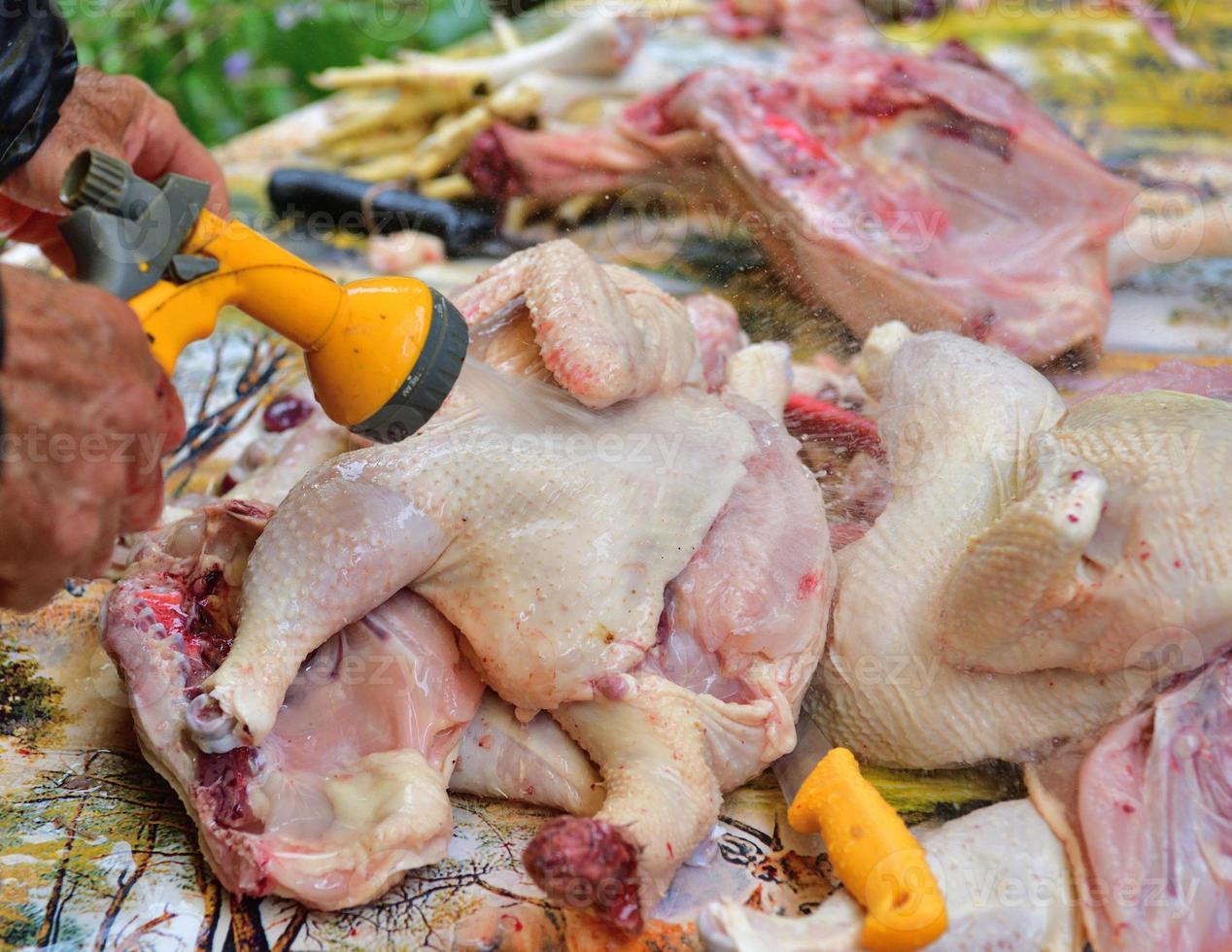 262 Poultry Slaughterhouse Stock Photos - Free & Royalty-Free Stock Photos  from Dreamstime