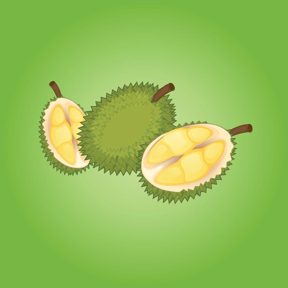 Durian fruit free vector