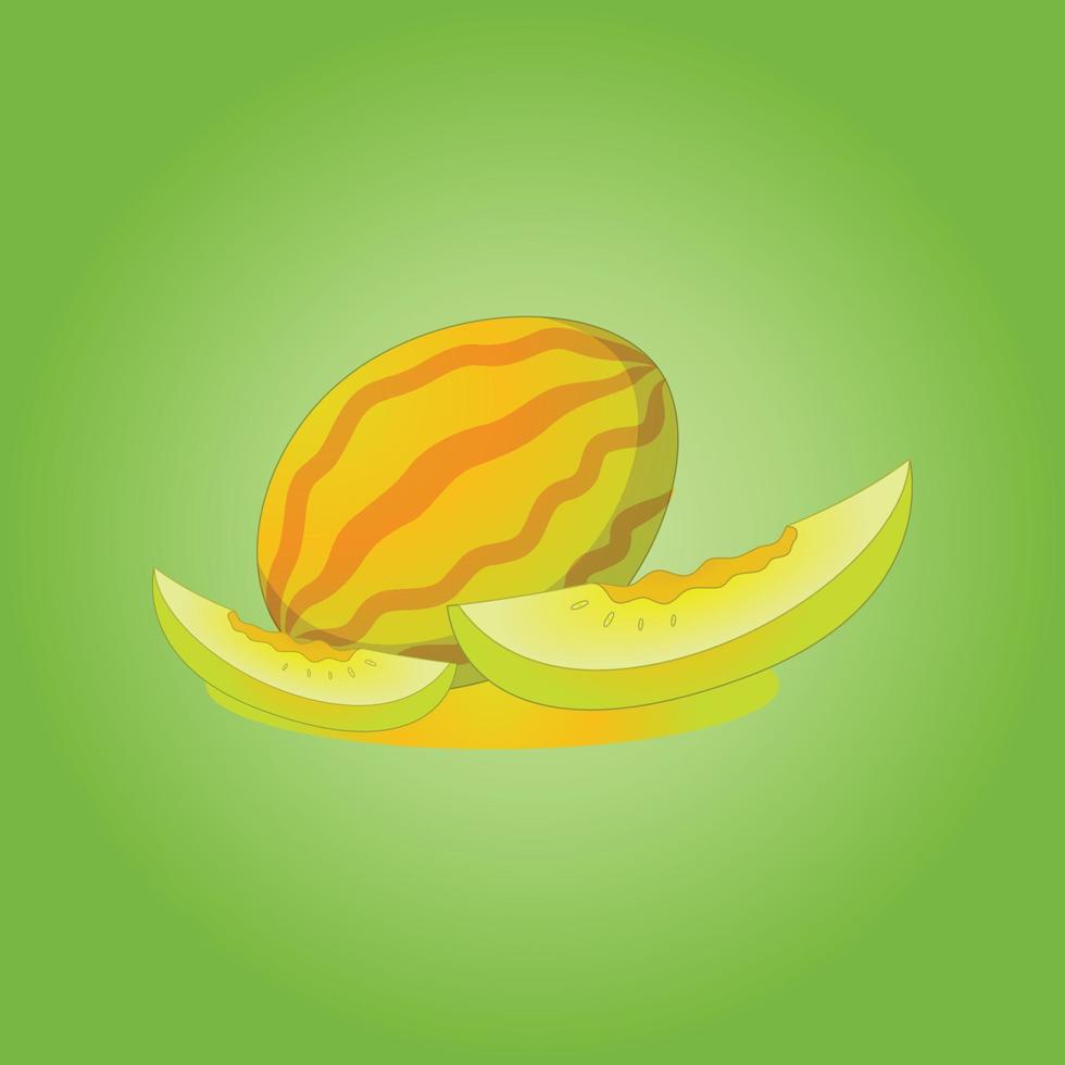 melon fruit free vector