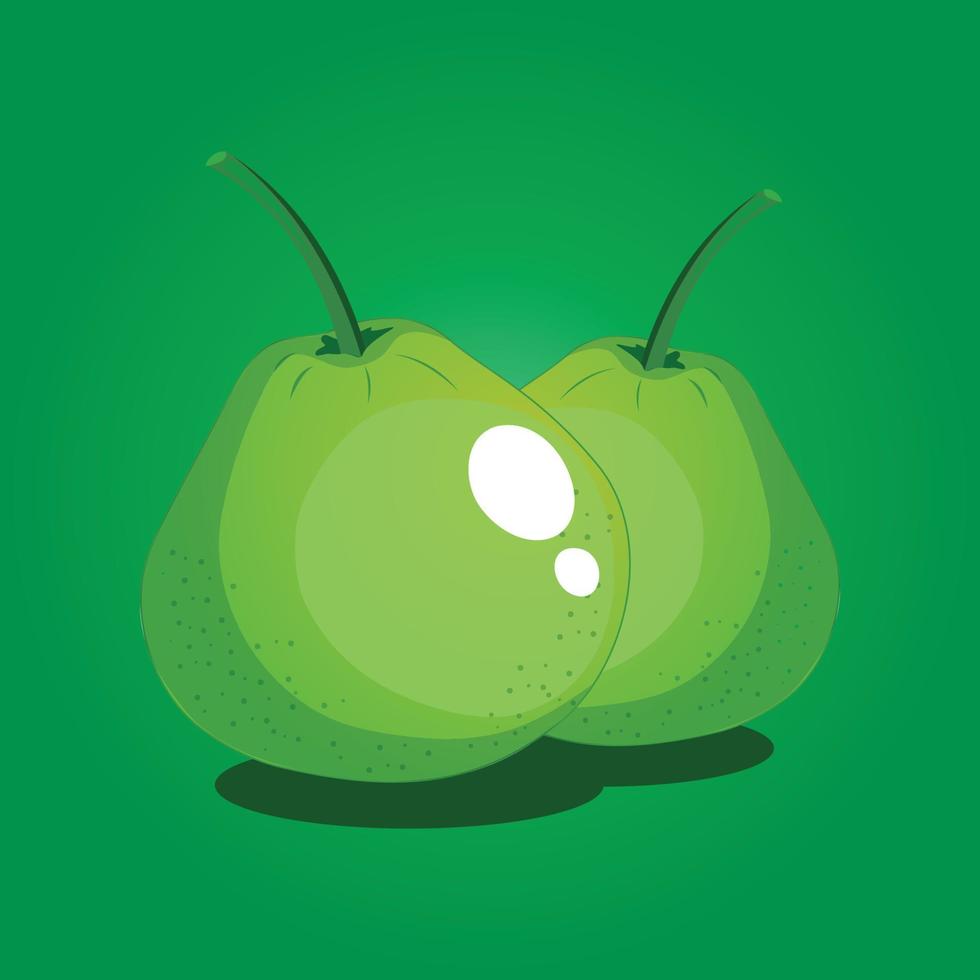 Guava fruit free vector