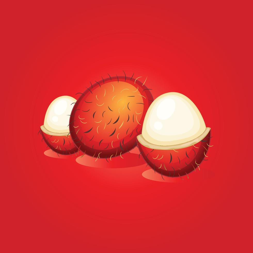 Rambutan fruit free vector