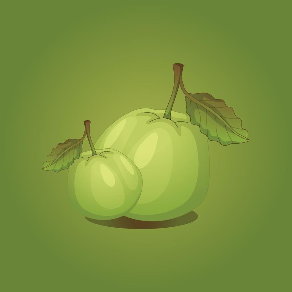 guava fruit free vector