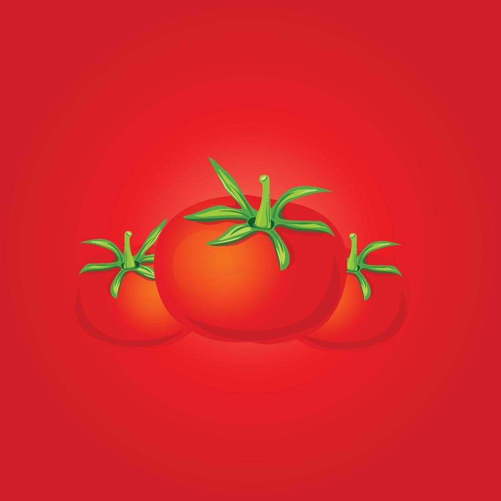 vector libre de tomates