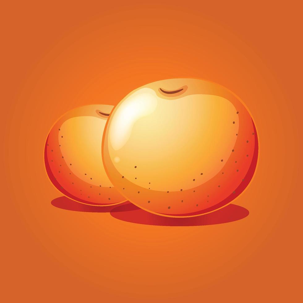 Orange fruit free vector