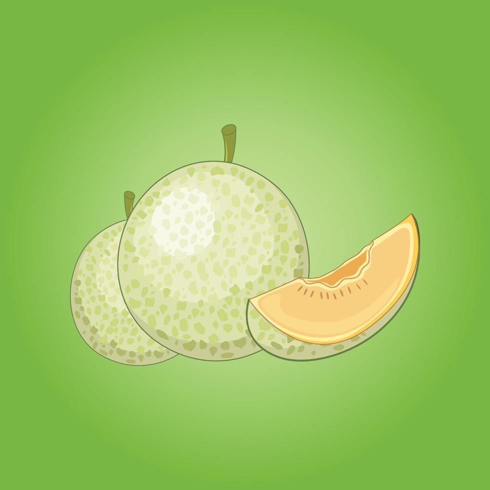 vector libre de fruta de melón