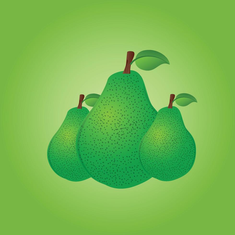 avocado fruit free vector