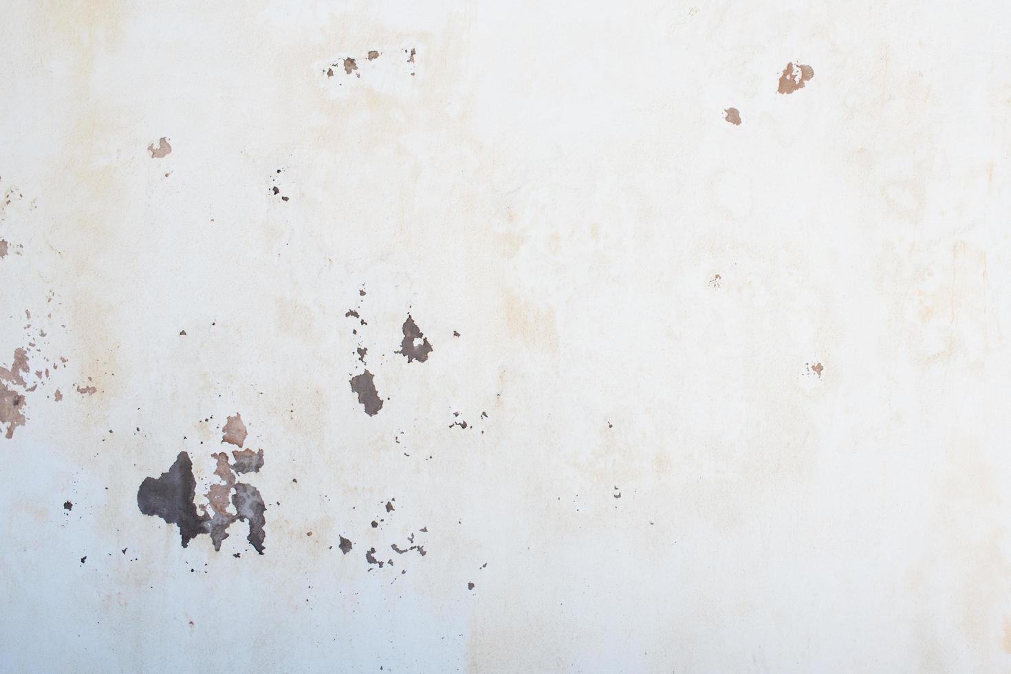 Chipped wall in white with humidity spots photo