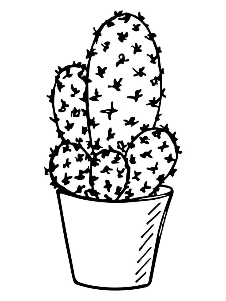 Cute hand drawn simple cactus. Houseplant in a pot clipart. Cacti illustration isolated on white background. Cozy home doodle. vector