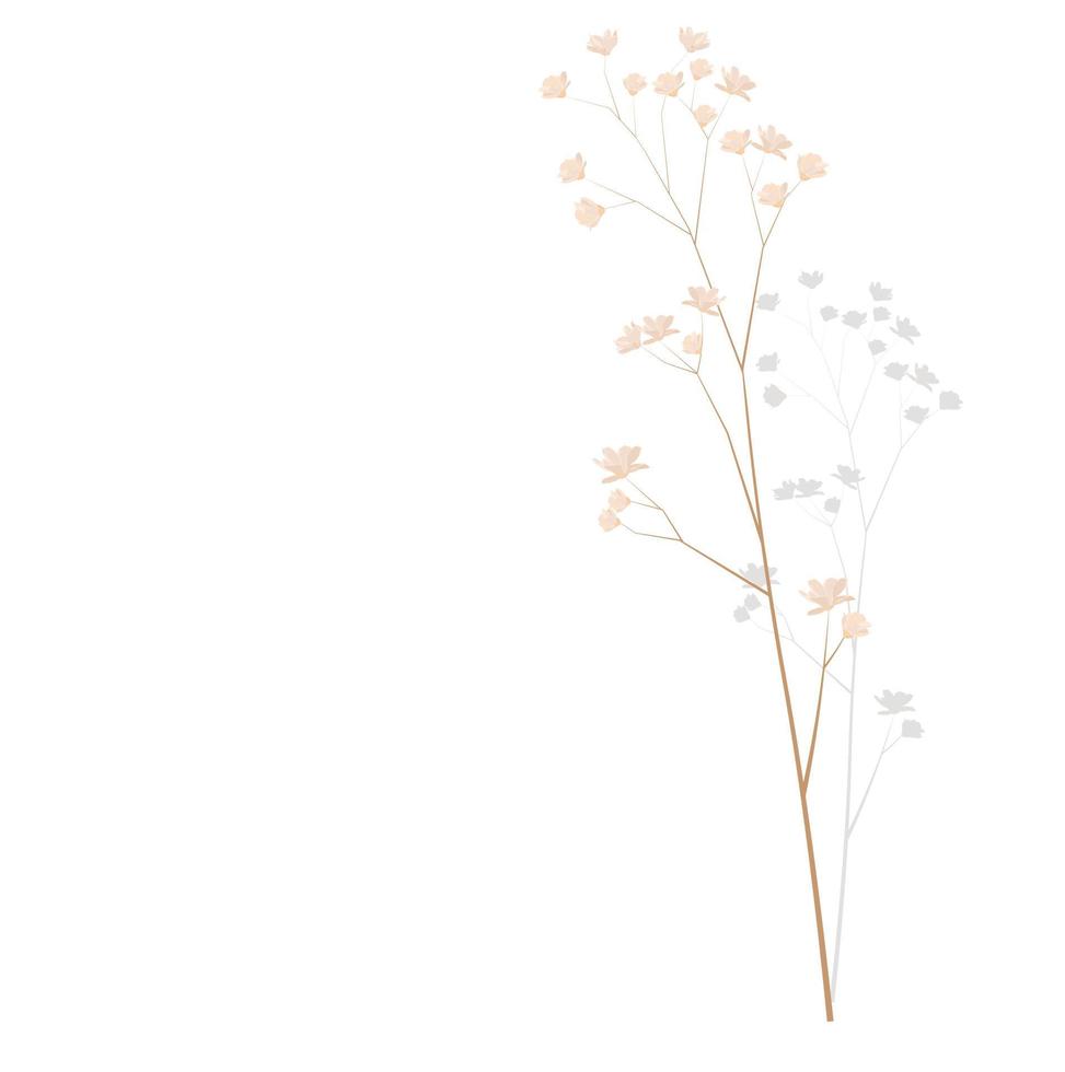 Vector stock illustration of pampas grass. Cream branch of dry grass. Panicle Cortaderia selloana South America, feather flower head plumesstep. Soft pink color. Template for a wedding card.