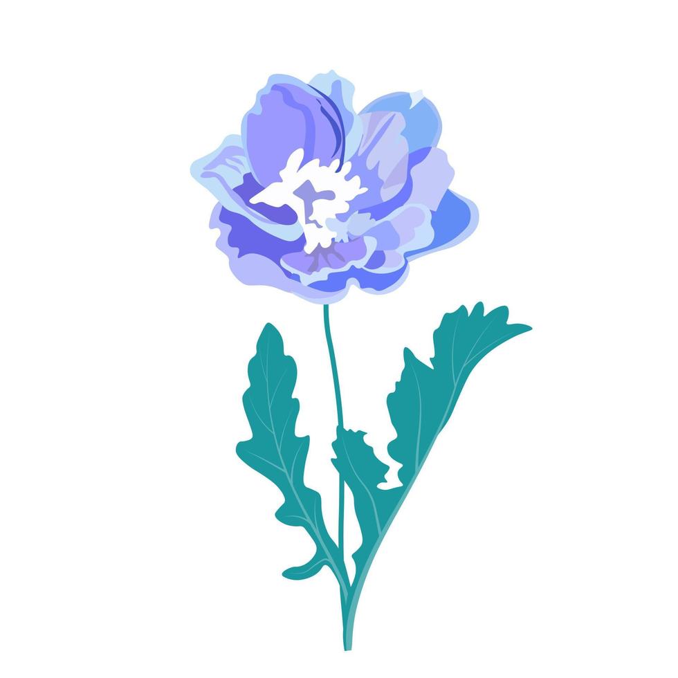 Delphinium vector stock illustration. Larkspur blooming flowers. Blue winter peony buds. Isolated on white background. Elegant detailed botanical drawing of wild flowering plant. Invitation.