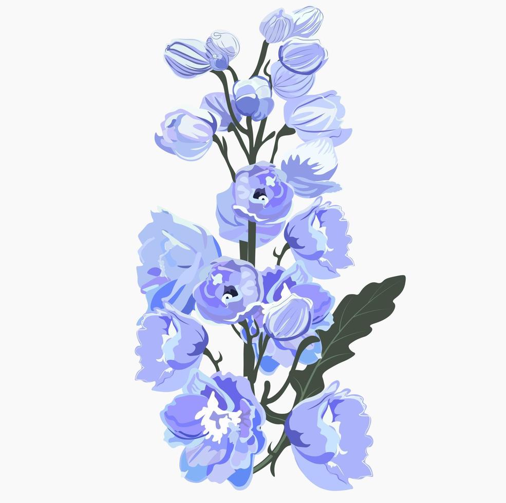 Delphinium vector stock illustration. Larkspur blooming flowers. Blue winter peony buds. Isolated on white background. Elegant detailed botanical drawing of wild flowering plant. Invitation.