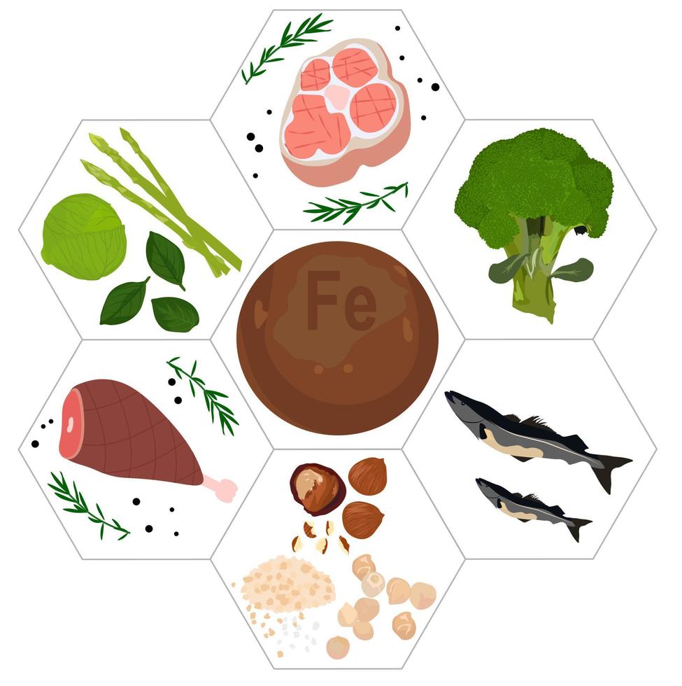 mineral vitamin Iron supplement Vector stock illustration.. Products containing fe. Food and drink healthy diet symbol, medical  poster template. Isolated on a white background.