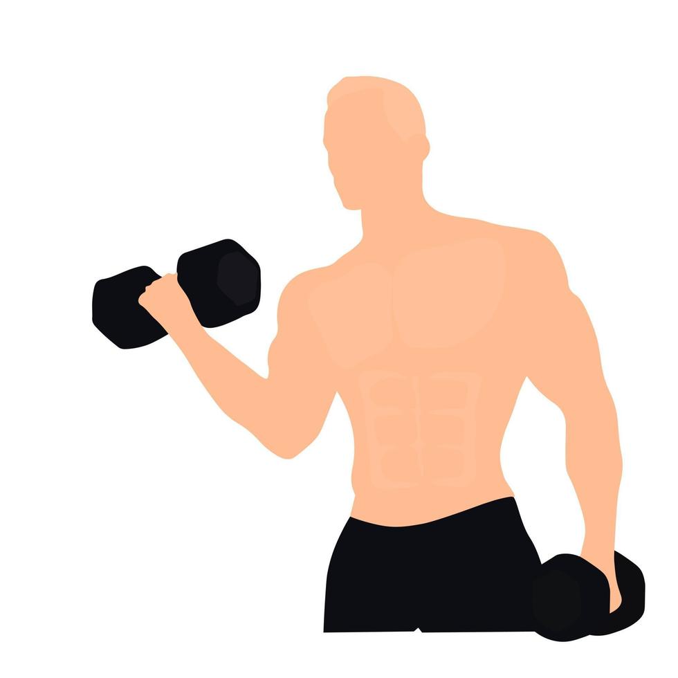 Man with dumbbells vector stock illustration. The muscular body is engaged in sports. Workout. Isolated on a white background.