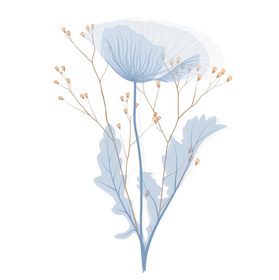 ilustración común del vector de la flor de las amapolas. pétalos azules suaves. naturaleza. diseño de plantilla de tarjeta de invitación de boda floral minimalista. Aislado en un fondo blanco.