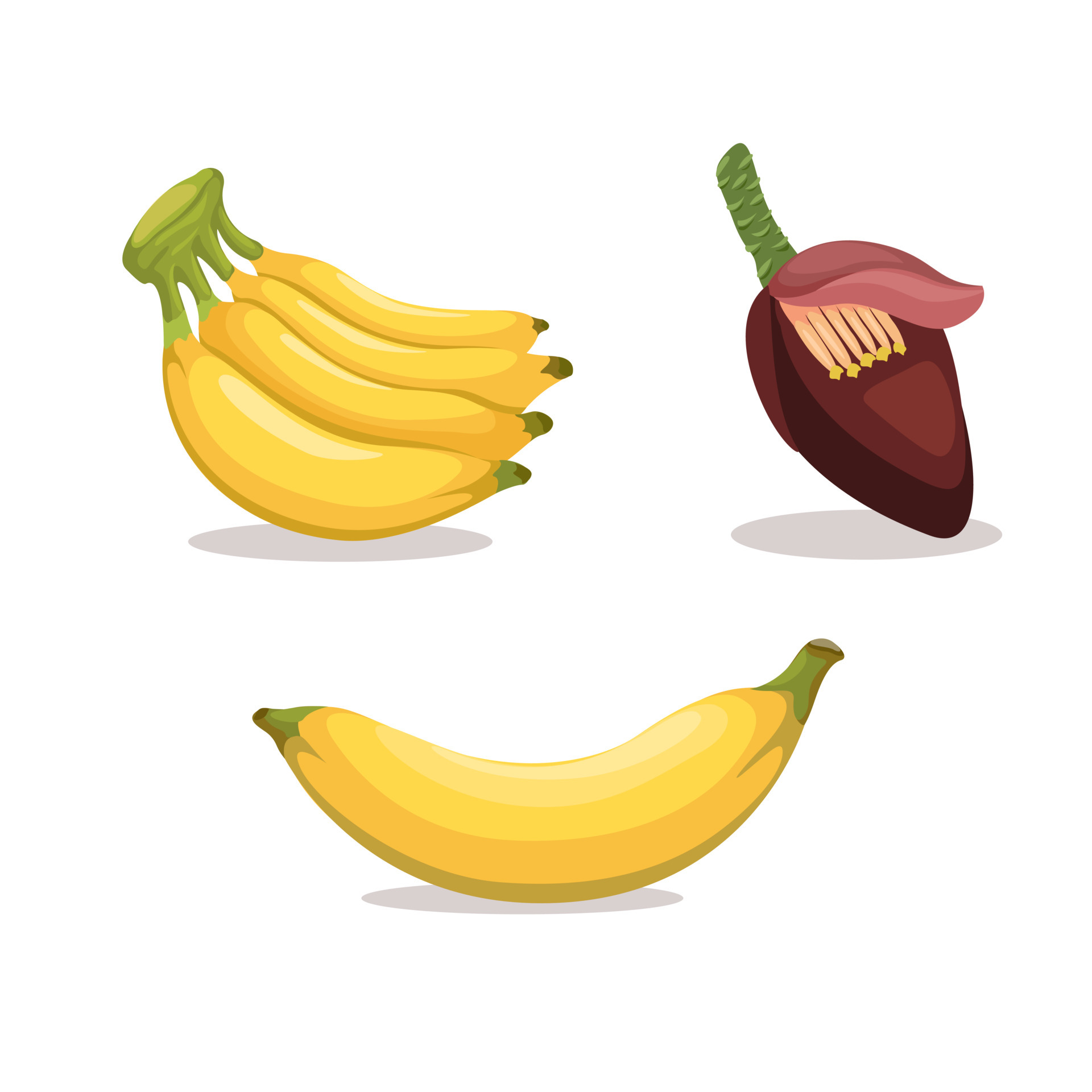 Banana fruit in piece with banana heart collection set illustration