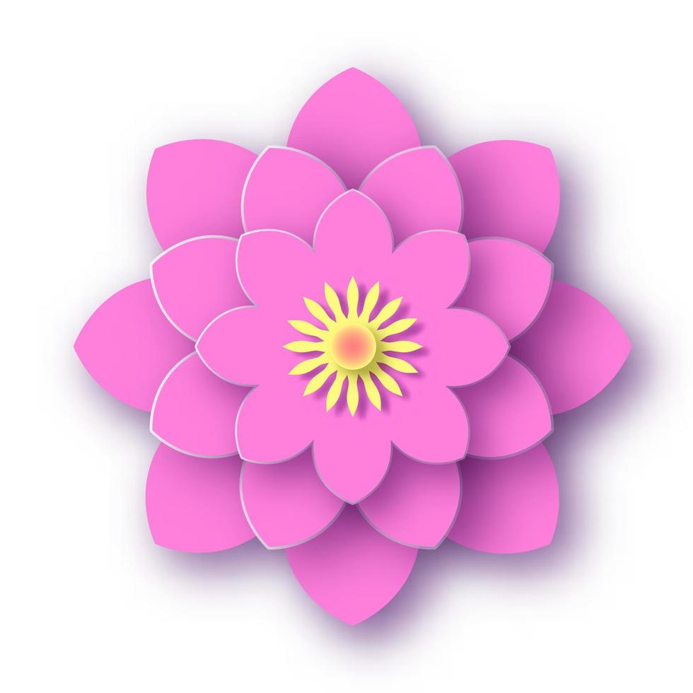 Luxuriant flower on white surface isolated. Pink blooming peony with yellow core and delicate fragrant petals brightly unraveling in warm vector summer.