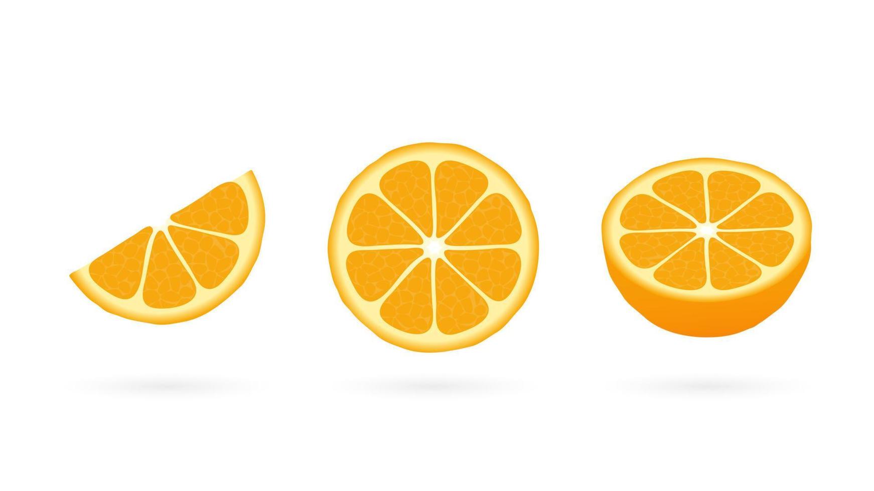 Citrus cut into slices. Orange organic half and quarter grapefruit with