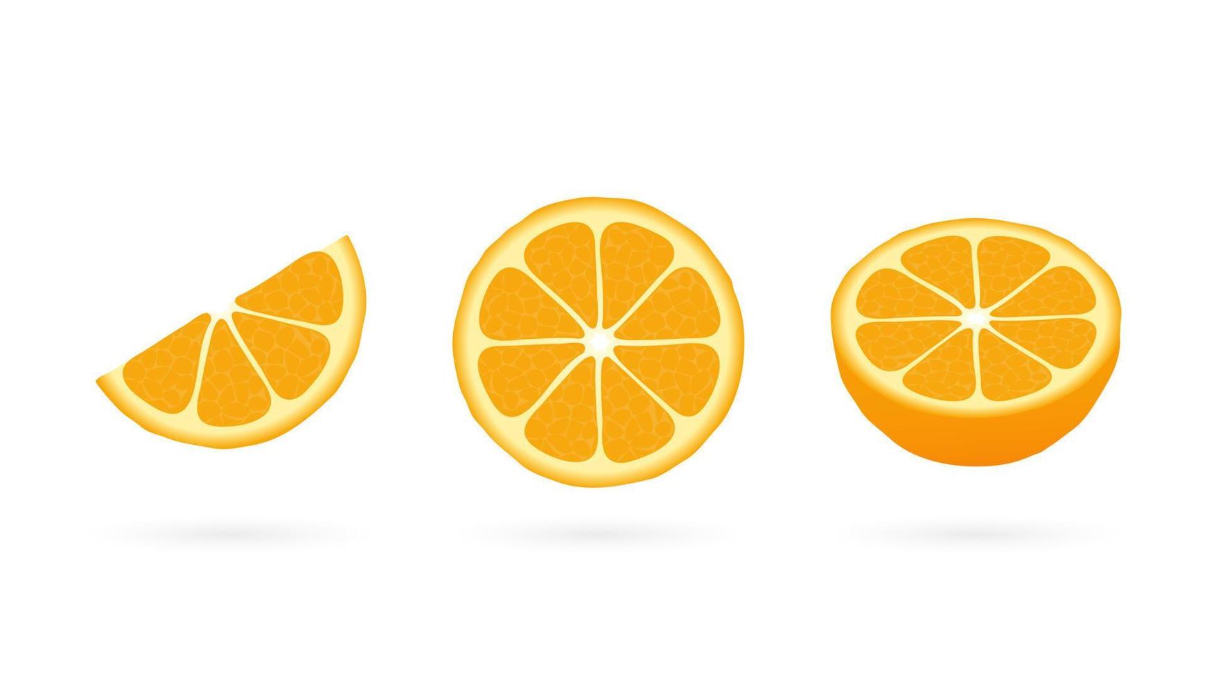 Citrus cut into slices. Orange organic half and quarter grapefruit with yellow edges rich fruit vector volume