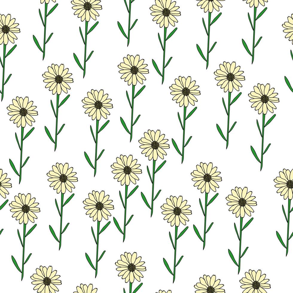 seamless pattern of delicate single daisies with thin leaves on a white background vector