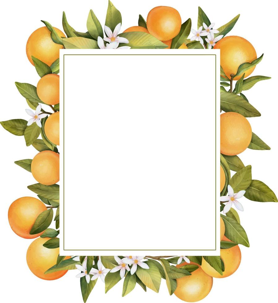 Frame of hand drawn watercolor blooming orange tree branches, flowers and orange, isolated illustration on a white background vector