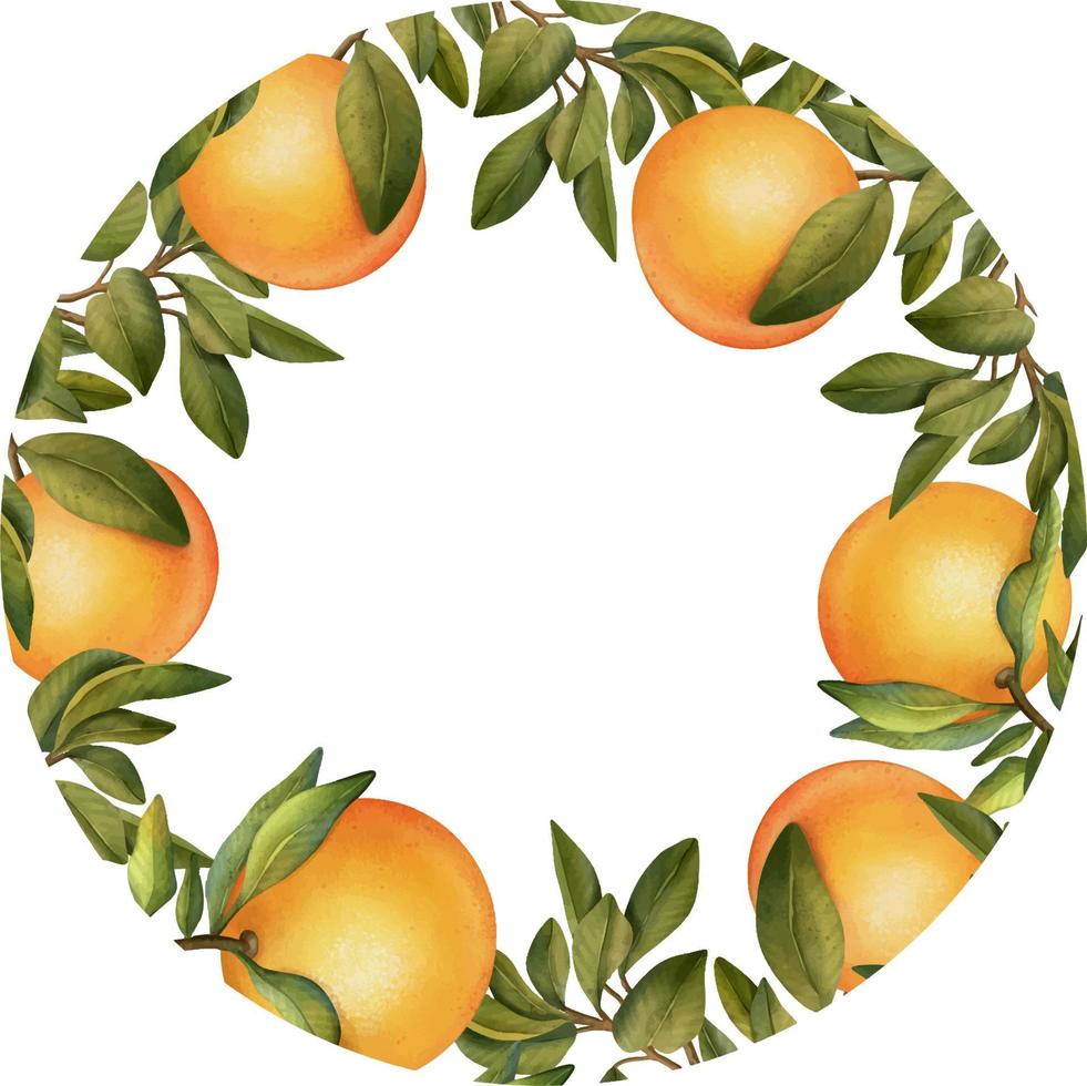 Round frame of hand drawn watercolor blooming orange tree branches, flowers and oranges, isolated illustration on a white background vector