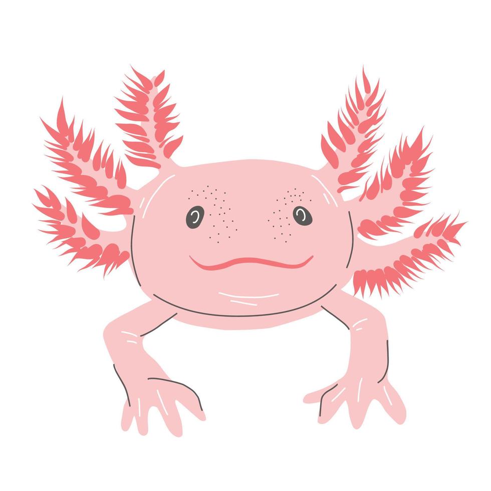 Cute axolotl cartoon vector illustration