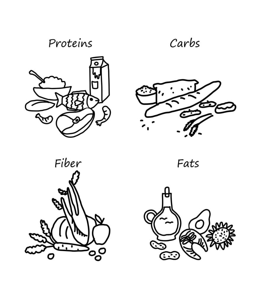 un conjunto de macronutrientes. proteínas, grasas, carbohidratos y fibra en forma de alimento. categorías de alimentos en estilo doodle. ilustración vectorial de productos vector