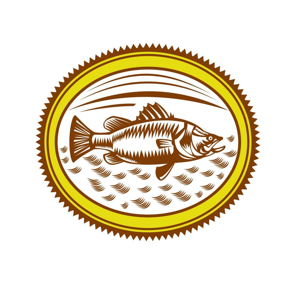 lado de barramundi de agua salada vector