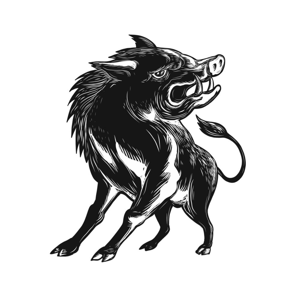 Angry Wild Hog Razorback Scratchboard vector