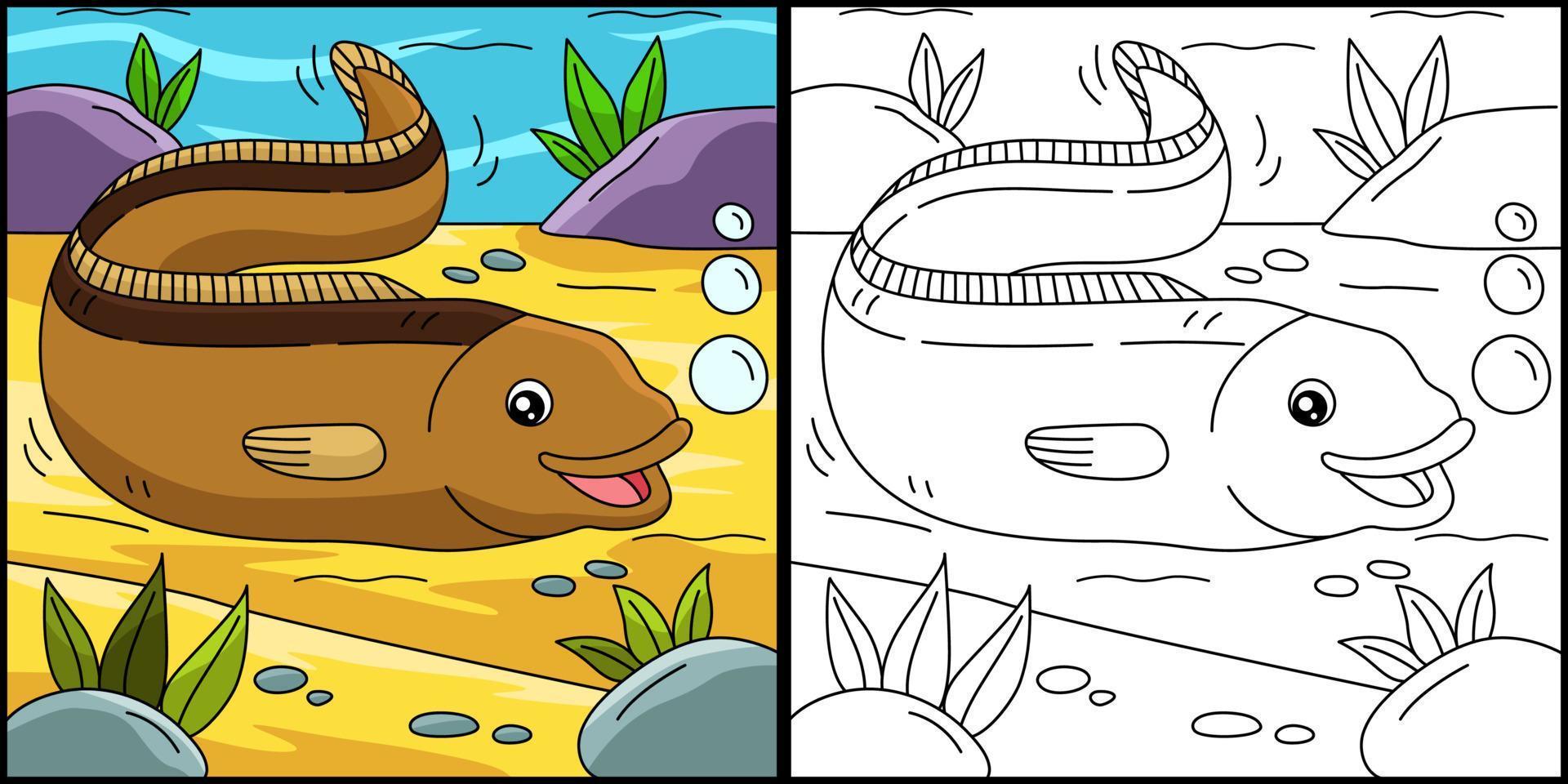 Eel Coloring Page Colored Illustration vector