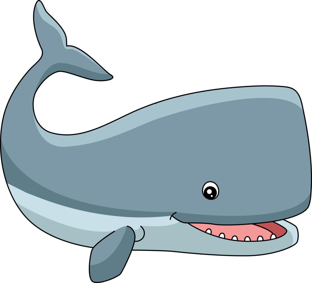 Sperm Whale Cartoon Clipart Animal Illustration vector