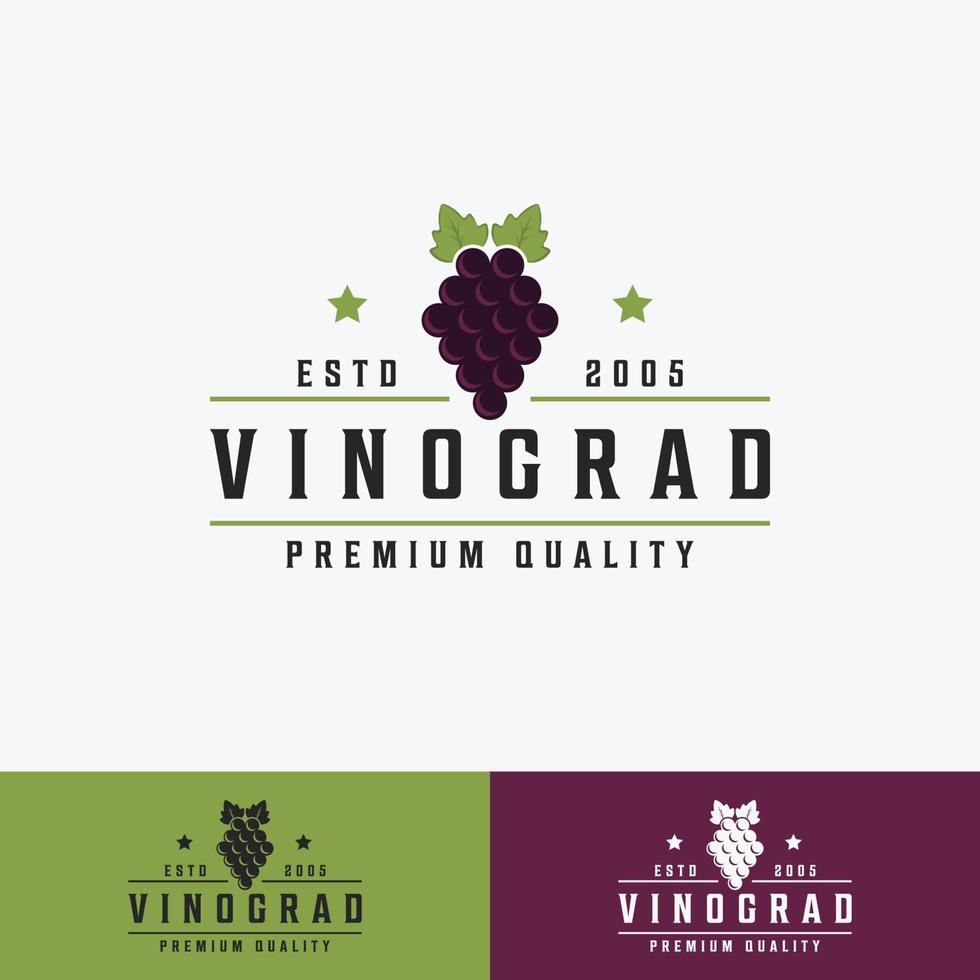 plantilla de vector de logotipo de identidad de frutas de uva, adecuada para identidad de marca, negocios, empresa