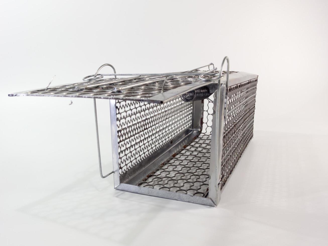 Cage mouse trap on white background photo