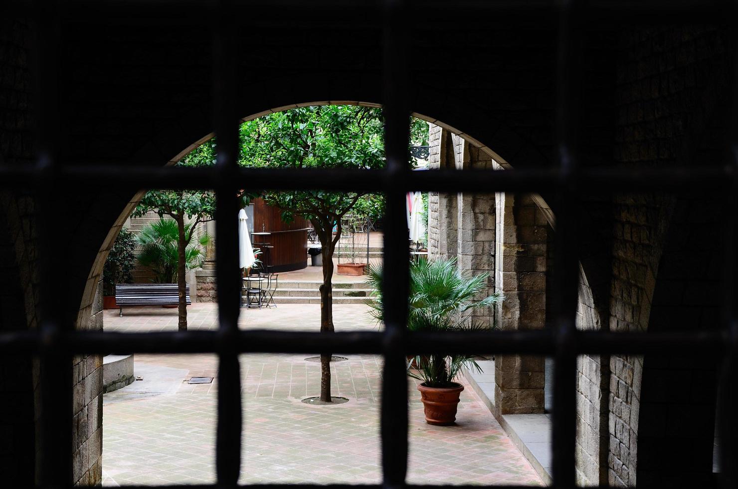 garden barred with dark foreground photo