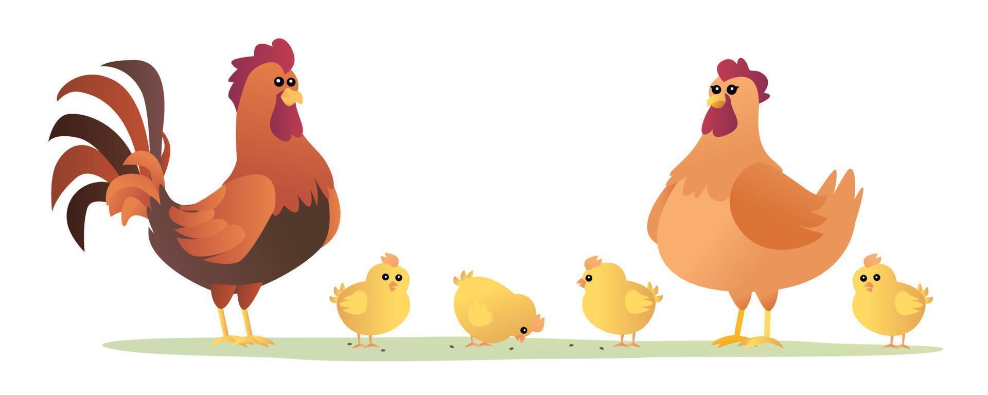 gallo gallina y pollitos conjunto de ilustración de dibujos animados de pollo vector