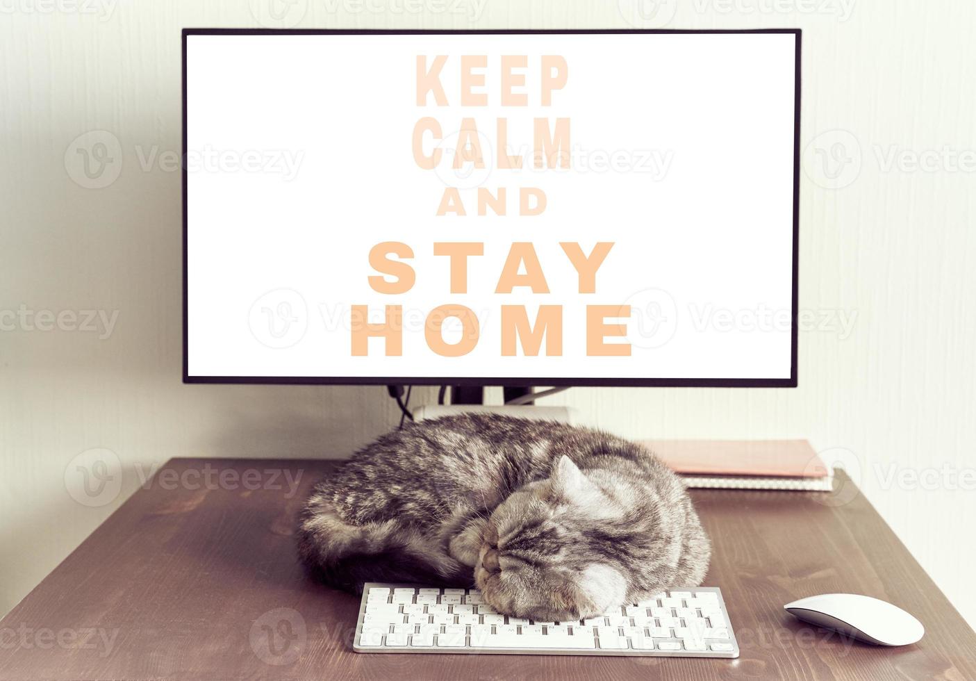 Keep calm and stay home concept. Fluffy cat sleeps on desktop next to computer. photo