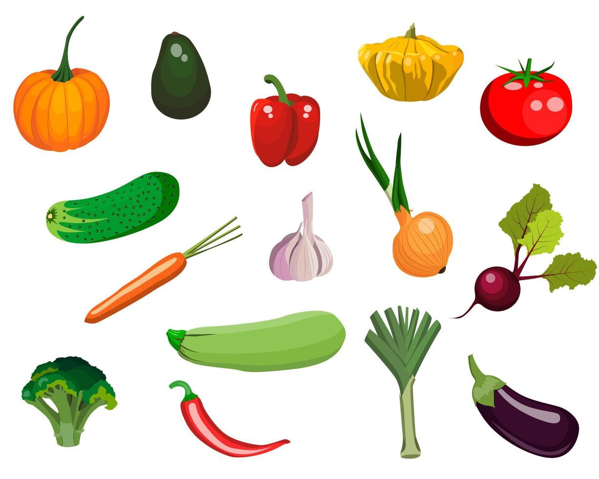 set of vegetable illustrations vector