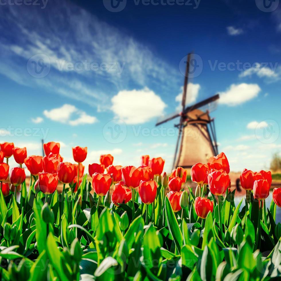 Traditional Dutch windmills from the canal in Rotterdam. Rows of photo