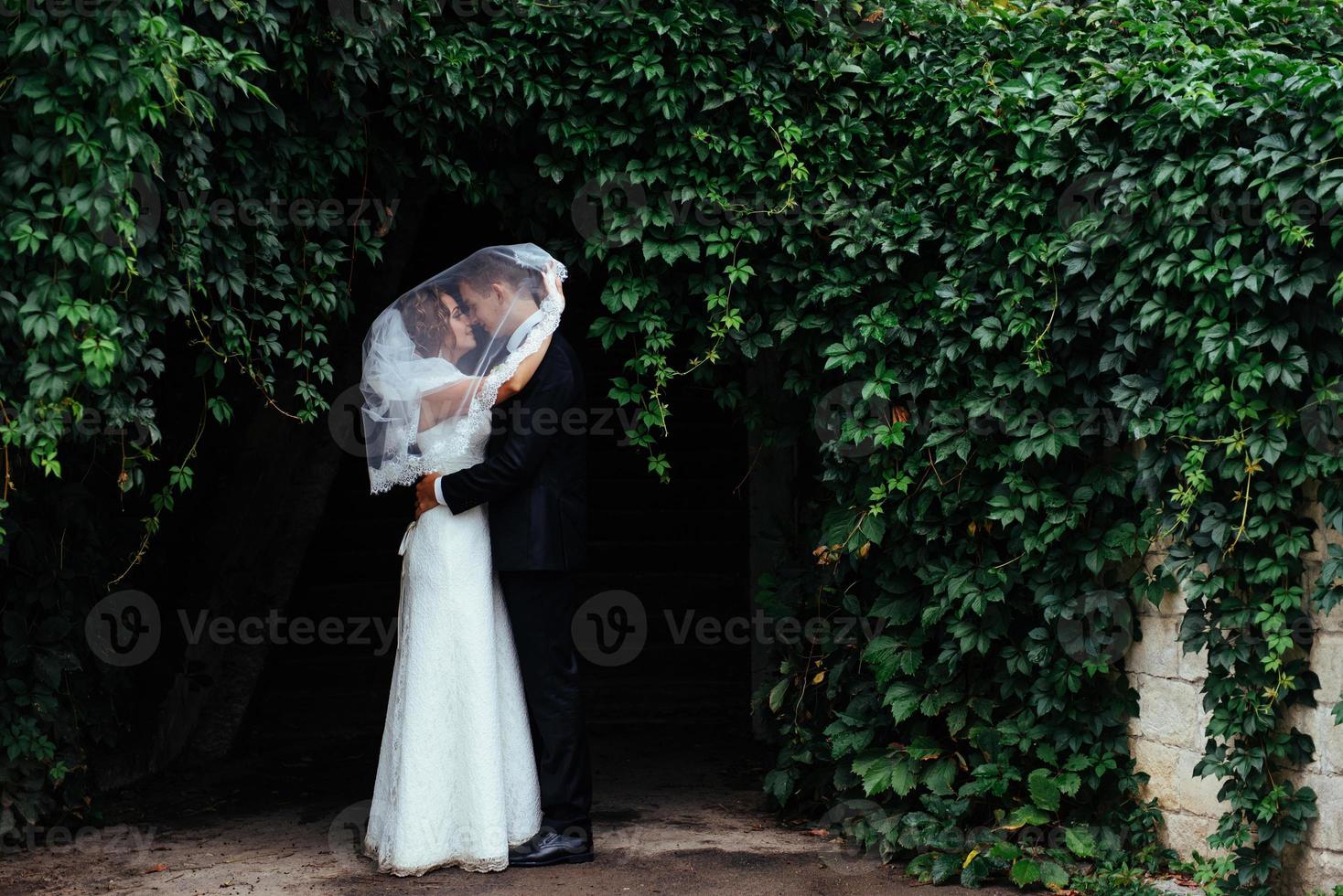 Young bride hugging her groom in beautiful park photo