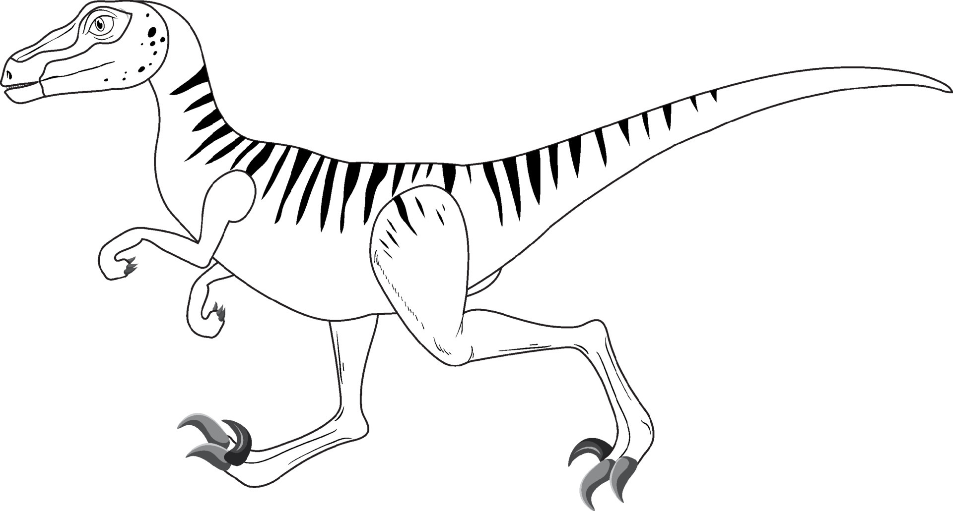 esquema de garabato de dinosaurio velociraptor sobre fondo blanco 6466314  Vector en Vecteezy